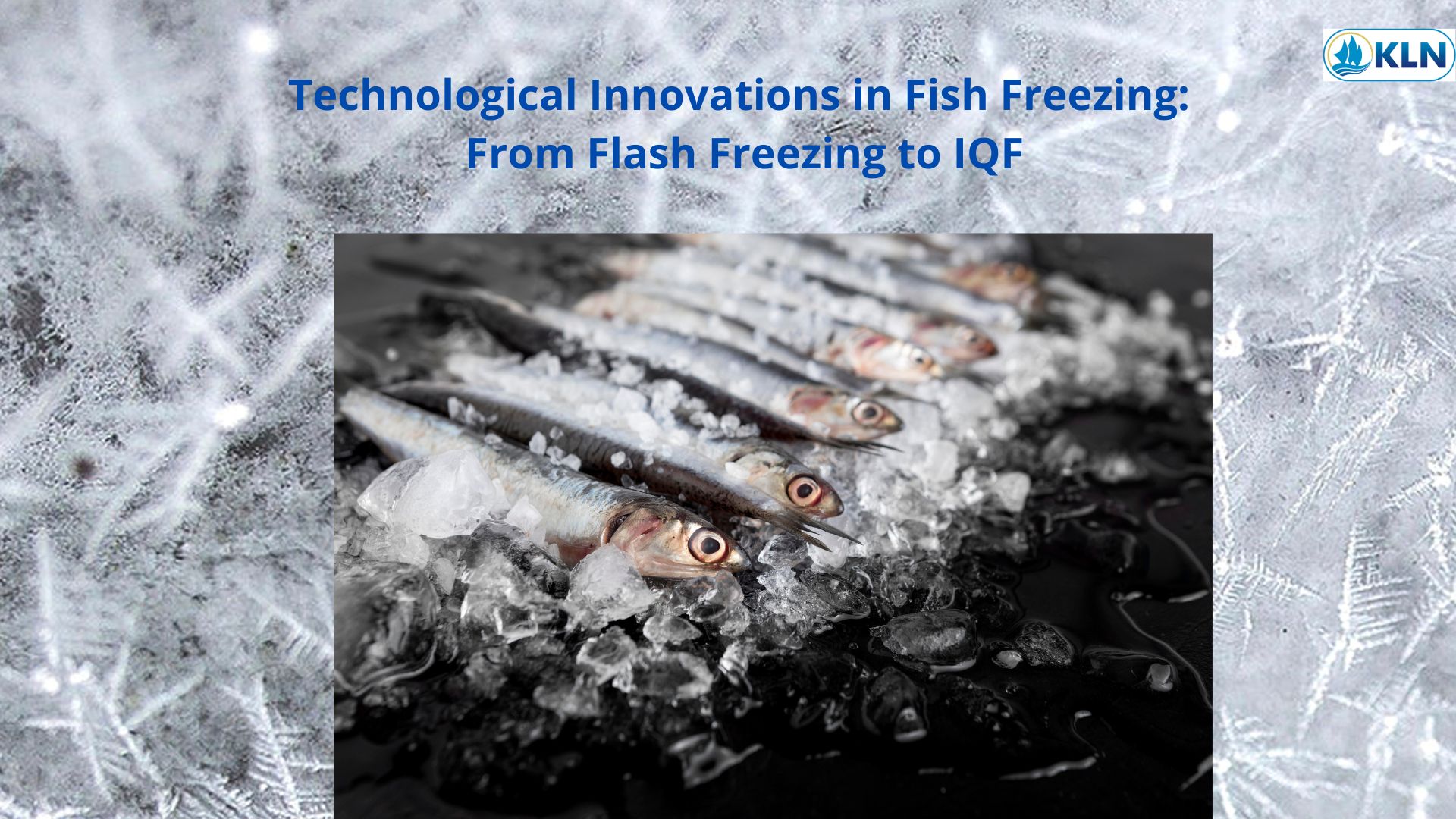 Technological Innovations in Fish Freezing: From Flash Freezing to IQF